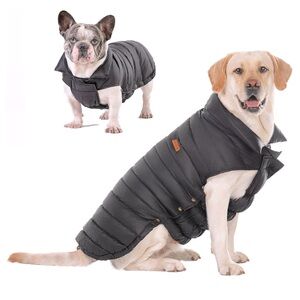 Black Dog Winter Coat